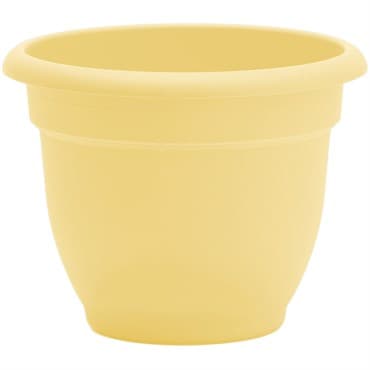 Bloem 8" Ariana Planter Daffodil — photo 1 of 2