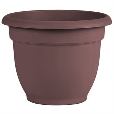 Bloem 8" Ariana w/ Grid Planter Merlot — photo 1 of 2