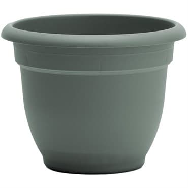 Bloem 12" Ariana Planter Basil — photo 1 of 2