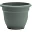 Bloem 12" Ariana Planter Basil — thumbnail 1 of 2