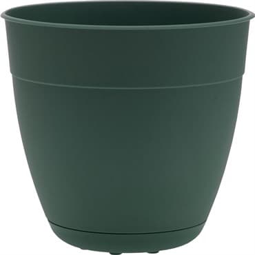 Bloem 6" Dayton Planter Turtle Green — photo 1 of 2