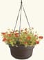 Bloem 12" Dura Cotta Hanging Basket Black — thumbnail 1 of 2