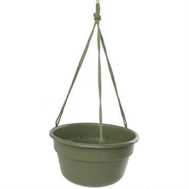 Bloem 12" Dura Cotta Hanging Basket Living Green — photo 1 of 2