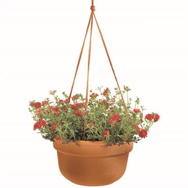 Bloem 12" Dura Cotta Hanging Basket Terra Cotta — photo 1 of 2