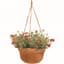 Bloem 12" Dura Cotta Hanging Basket Terra Cotta — thumbnail 1 of 2