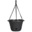 Bloem 13" Hanging Basket Black — thumbnail 1 of 2