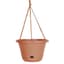 Bloem 13" Hanging Basket Terra Cotta — thumbnail 1 of 2