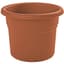 Bloem 12" Posy Planter Terra Cotta — thumbnail 1 of 2