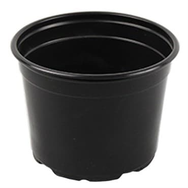 Grower Select 05.00 Coex Azalea Round Pot Black 1120/CS — photo 1 of 2