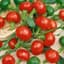Peppers, Red Cherry Hot 1000 Seed Count — thumbnail 1 of 2