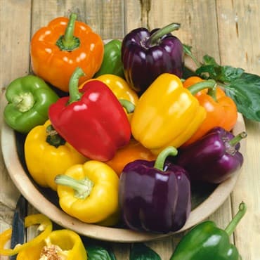 Peppers, Rainbow Bell Blend 5000 Seed Count — photo 1 of 2