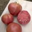 Tomato, Brandywine Pink Potato Leaf 500 Seed Count — thumbnail 1 of 2