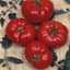 Tomato, Box Car Willie 500 Seed Count — thumbnail 1 of 2