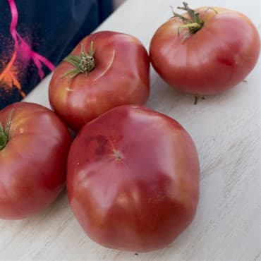 Tomato, Mortgage Lifter 100 Seed Count — photo 1 of 2