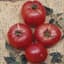 Tomato, German Johnson 100 Seed Count — thumbnail 1 of 2