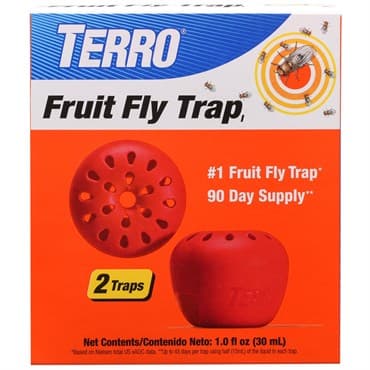 Terro 2pk Fruit Fly Trap — photo 1 of 2