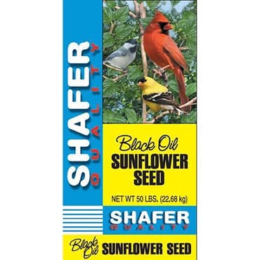 Sunflower, Shafer Small Black Oil Generic 50lb 40/PL — photo 1 of 2