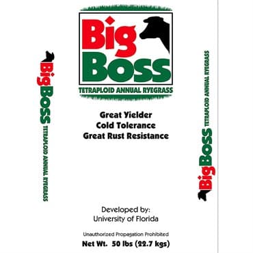 Smith Seed 50# Bigboss Tetrapld Ryegrass — photo 1 of 2