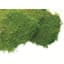 SuperMoss 1560cu in Bulk Sheet Moss Fresh Green (Covers 16-18sq ft) — thumbnail 1 of 2