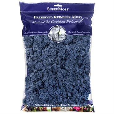 SuperMoss 4oz Reindeer Moss Blue — photo 1 of 2