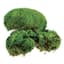 SuperMoss 200cu Bag Preserved Royal Pool Moss — thumbnail 1 of 2