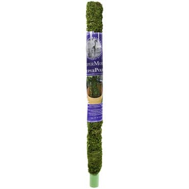SuperMoss 24" Moss Pole — photo 1 of 2