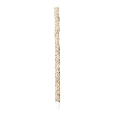 SuperMoss 24" Sphagnum Moss Pole — photo 1 of 2