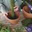SuperMoss 2.5' Moss Pole Preserved — thumbnail 1 of 2