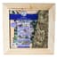 SuperMoss 14"x14" Natural Sphagnum Moss Living Frame — thumbnail 1 of 2