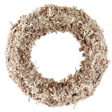 SuperMoss 11" Succulent Round Wreath — photo 1 of 2
