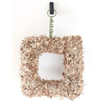 SuperMoss 11" Succulent Square Wreath — photo 1 of 2