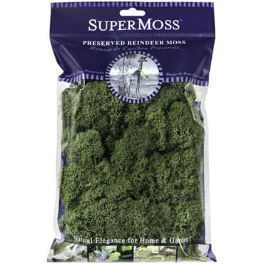 SuperMoss 2oz Reindeer Moss Basil — photo 1 of 2