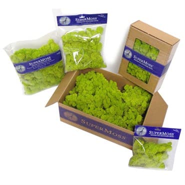 SuperMoss 4oz Reindeer Moss Red — photo 1 of 2