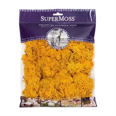 SuperMoss 4oz Reindeer Moss Mango — photo 1 of 2