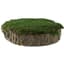 SuperMoss 2" MossyTree Stump Fresh Green — thumbnail 1 of 2