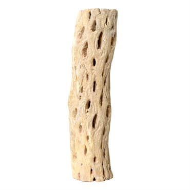 SuperMoss 12" Cholla Wood — photo 1 of 2