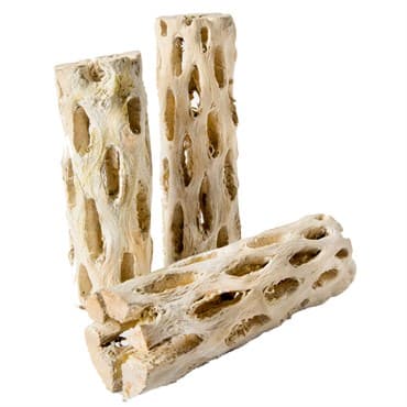 SuperMoss 3pk 6" Cholla Wood — photo 1 of 2