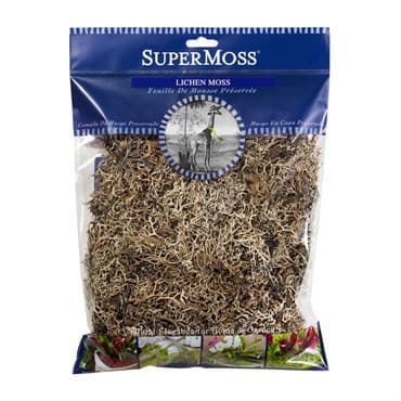 SuperMoss 2oz Lichen Parmeli Natural — photo 1 of 2