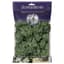 SuperMoss 2oz Reindeer Moss Moss Green — thumbnail 1 of 2
