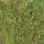 SuperMoss 3# Bulk Preserved Forest Moss — thumbnail 1 of 2