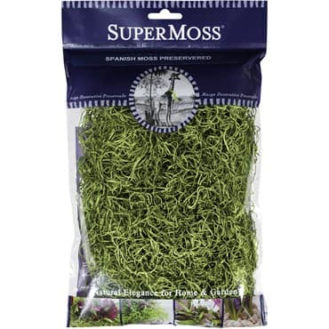 SuperMoss 2oz Spanish Moss Preserved Basil — photo 1 of 2