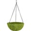 SuperMoss Small Woven Round Moss Basket in Display — thumbnail 1 of 2
