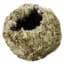 SuperMoss 4" Kokedama Sphagnum Ball Planter — thumbnail 1 of 2