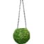 SuperMoss 6" Kokedama Green Moss Ball Planter — thumbnail 1 of 2
