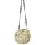 SuperMoss 6" Kokedama Blond Sphagnum Ball Planter — thumbnail 1 of 2