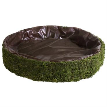 SuperMoss 15" Round Fairy Garden Basket — photo 1 of 2