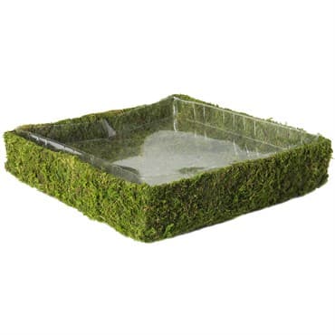 SuperMoss 15" Propagation Tray Square — photo 1 of 2
