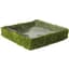 SuperMoss 15" Propagation Tray Square — thumbnail 1 of 2