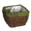 SuperMoss Medium Ventura Moss Deco Basket — thumbnail 1 of 2