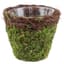 SuperMoss Small Deco Basket Vineyard Fresh Green — thumbnail 1 of 2